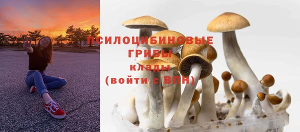 стафф Володарск