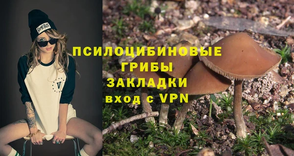 стафф Володарск
