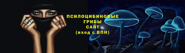 гидра Туринск