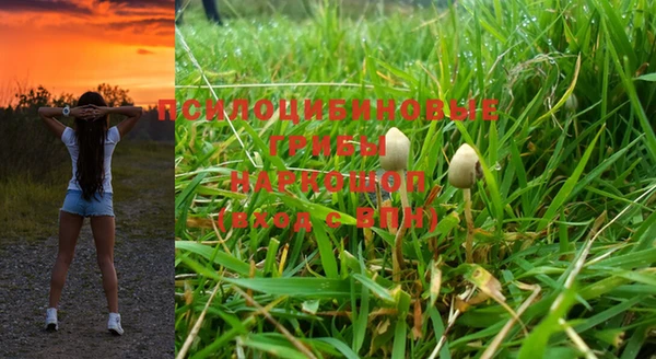 гидра Туринск