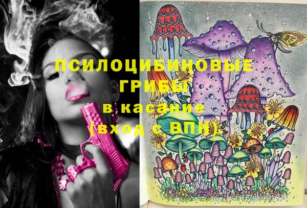 PSILOCYBIN Верея