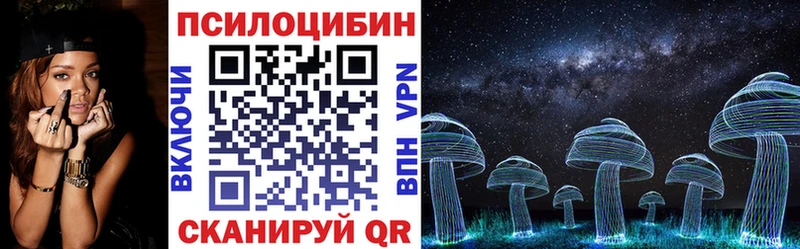 Псилоцибиновые грибы Cubensis Камышлов