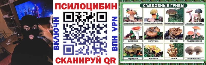 kraken зеркало  Камышлов  Галлюциногенные грибы мицелий  продажа наркотиков 